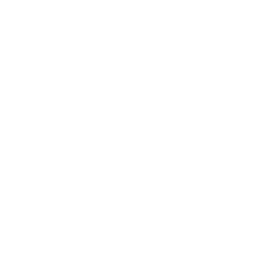 watermark